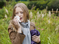 Что такое аллергический ринит: симптомы и причины