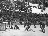Зимние виды спорта: Хоккей - клюшки наголо