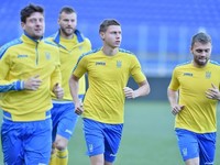 Матч Украина – Албания состоится на стадионе не соответствующего уровня