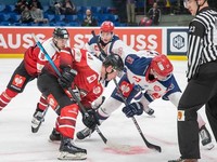 Донбасс уступил датскому Рунстеду в матче хоккейной Лиги Чемпионов