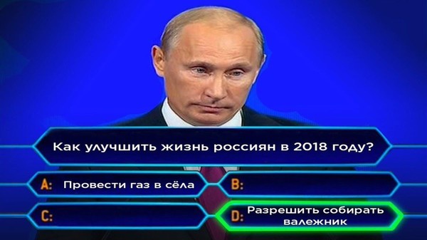Картинки по запросу валежник разрешили картинки