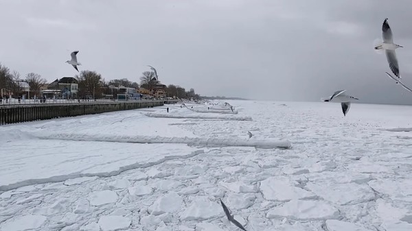 Южная Балтика покрылась льдом
