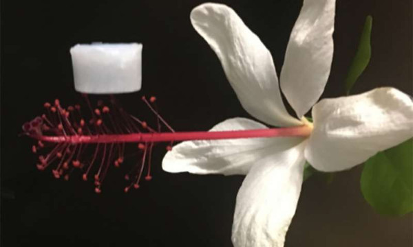 Материал легкий, но прочный