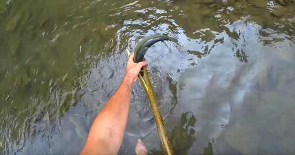 Как поймать форель в реке