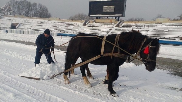 Стадион Тепловика расчищали от снега конями