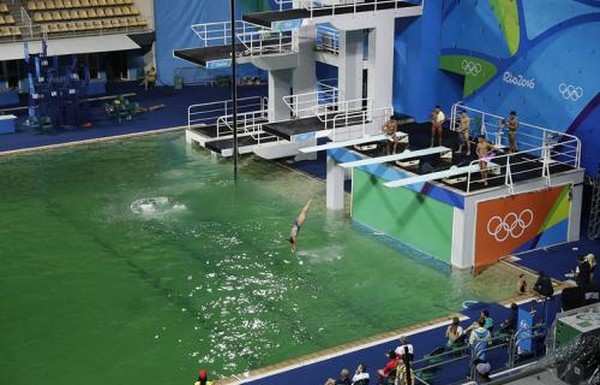В олимпийском басейне позеленела вода