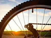 Как выбрать колеса для велосипеда